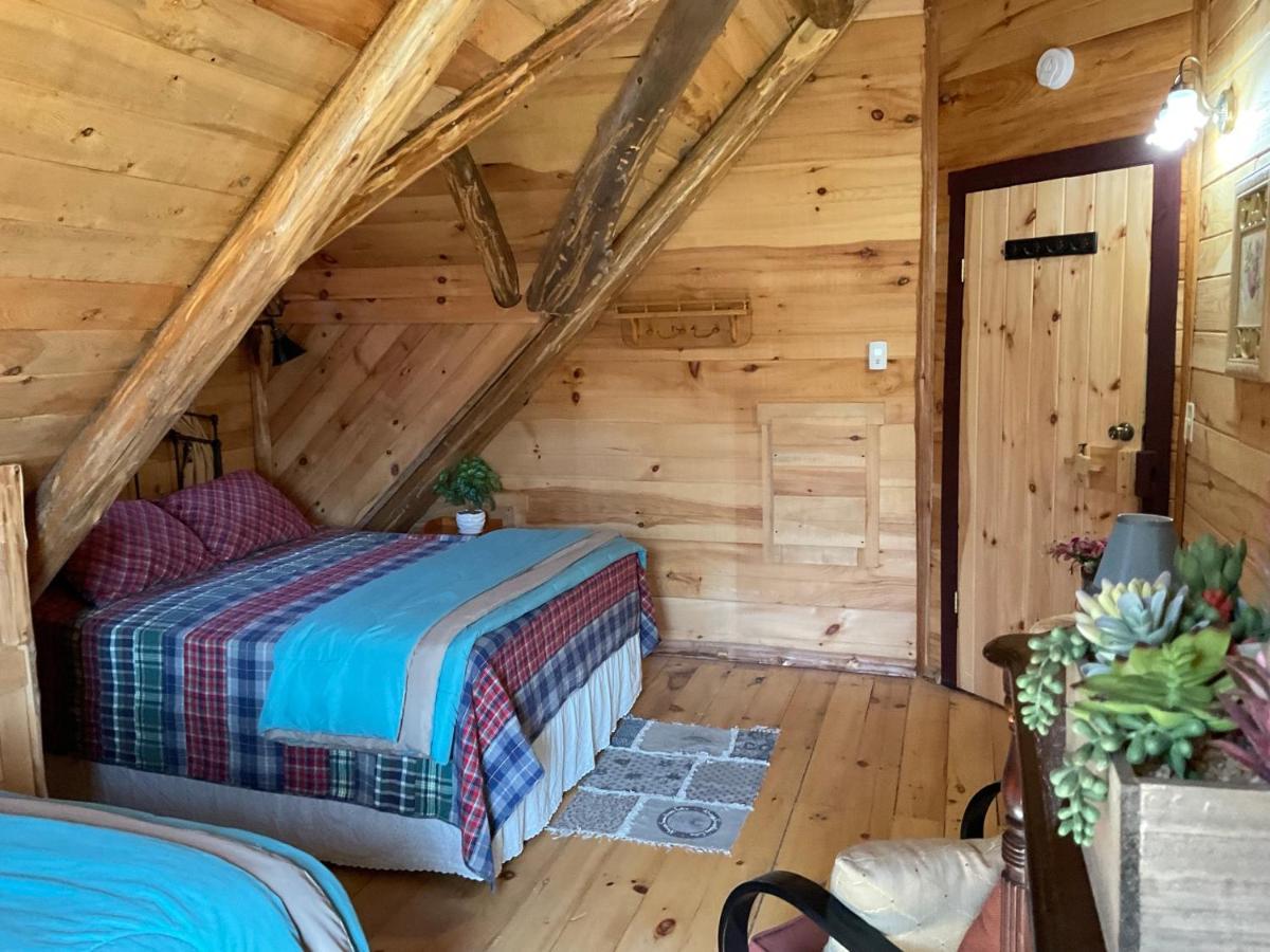 Lodge Solange Palatino Bridge Eksteriør bilde